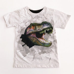 Playera Dinosaurio